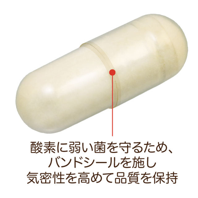 ビオテクト ―ビフィズス菌生菌末含有加工食品―