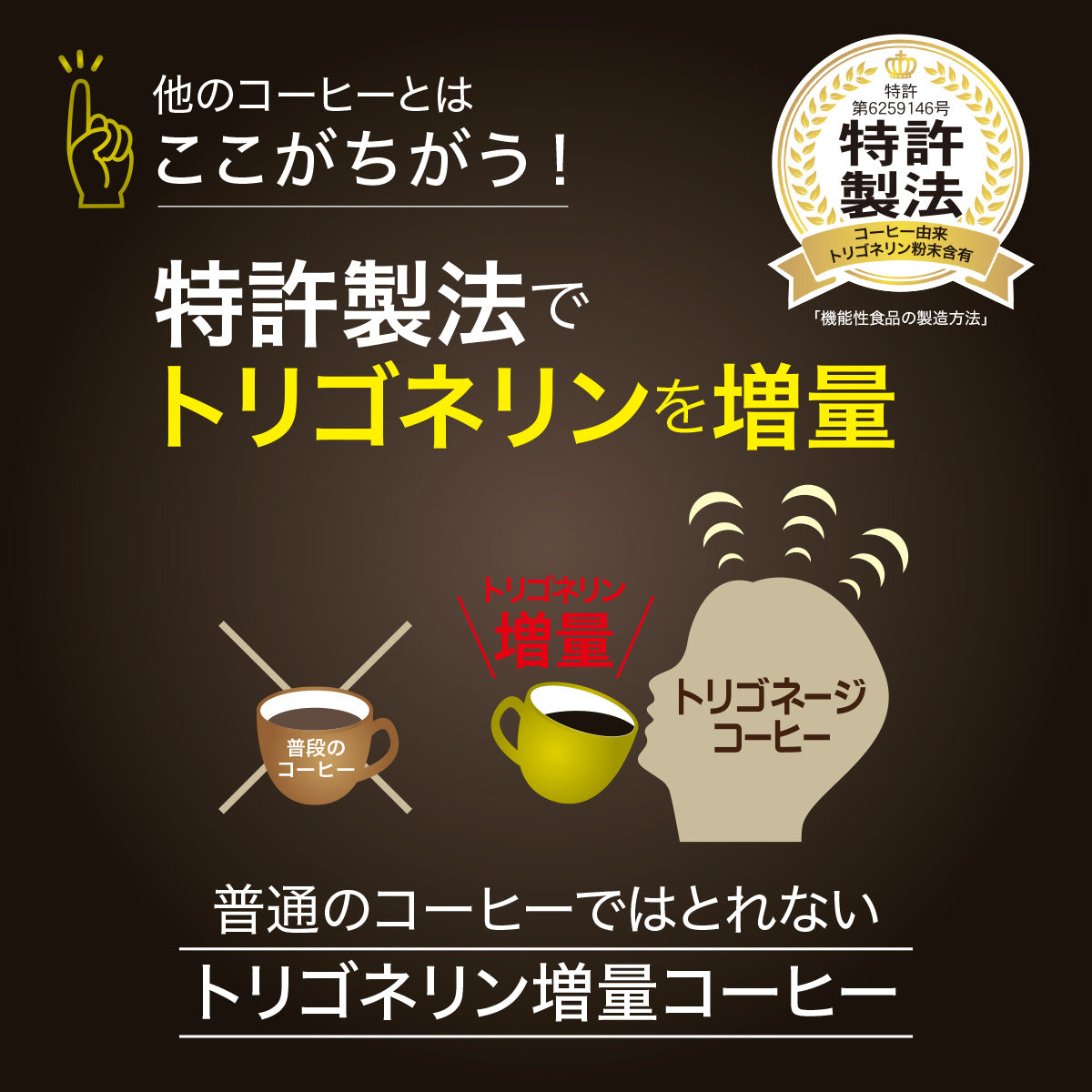 トリゴネージ コーヒー ブルーマウンテン No.1ブレンド