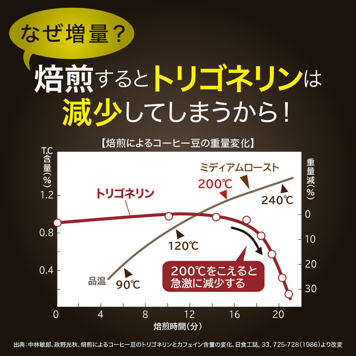 トリゴネージ コーヒー ブルーマウンテン No.1ブレンド