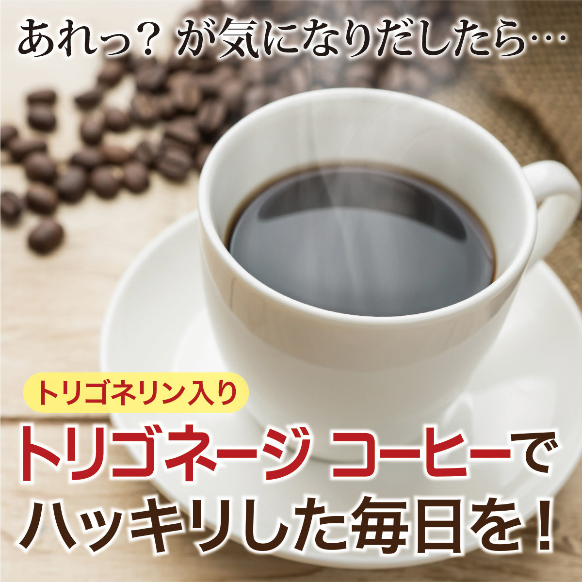 トリゴネージ コーヒー ブルーマウンテン No.1ブレンド