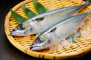 美味しく栄養たっぷり！青魚を使った簡単で健康的なレシピ集