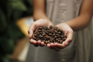コーヒーの新たな健康パートナー：サプリメントの可能性